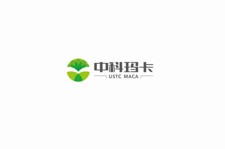 VIS设计-中科玛卡02